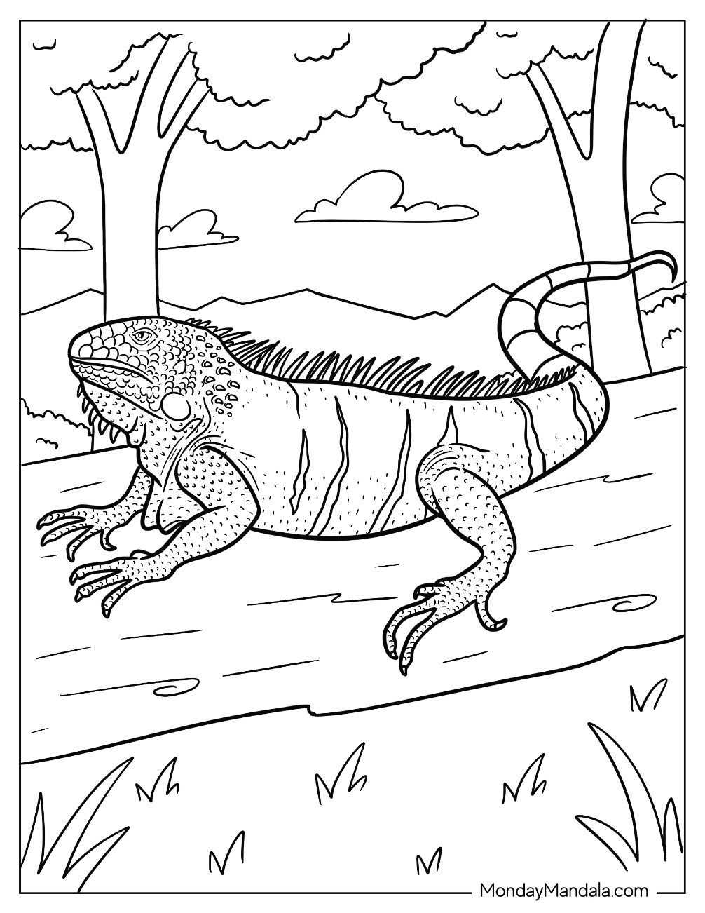 170+ Lizard Coloring Page Designs 45