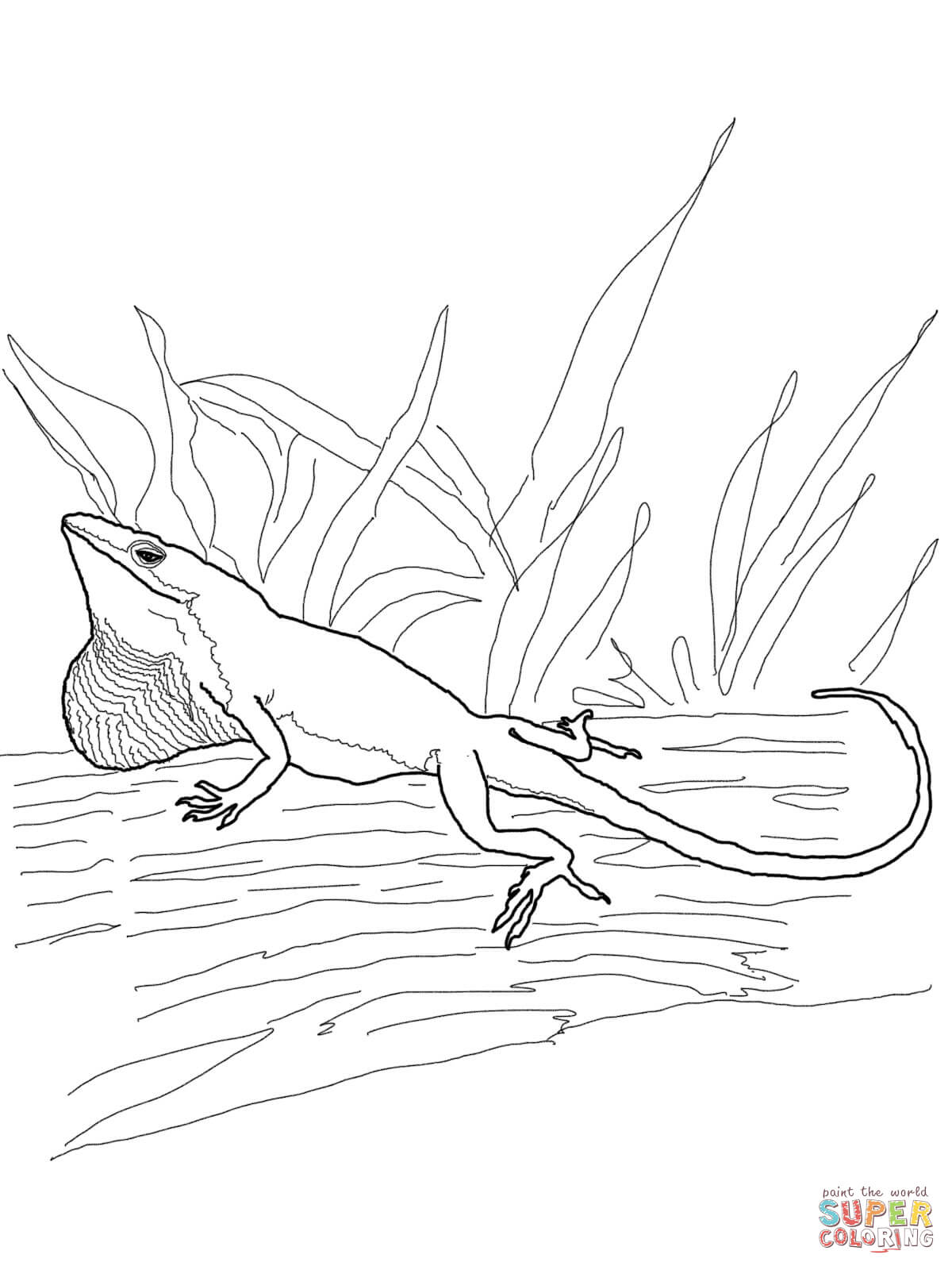 170+ Lizard Coloring Page Designs 51