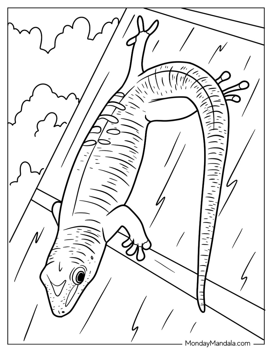 170+ Lizard Coloring Page Designs 52