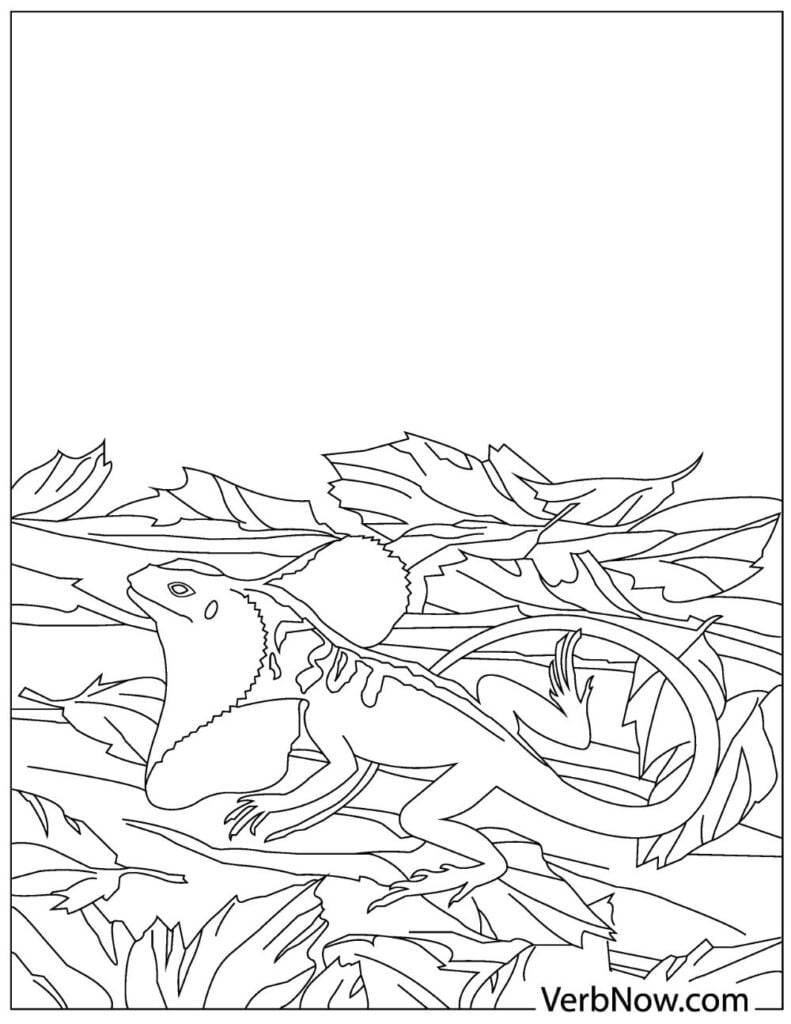 170+ Lizard Coloring Page Designs 58