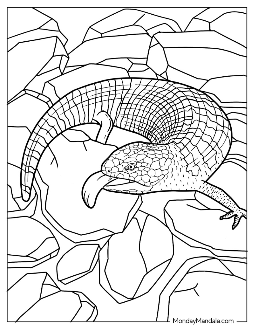 170+ Lizard Coloring Page Designs 62