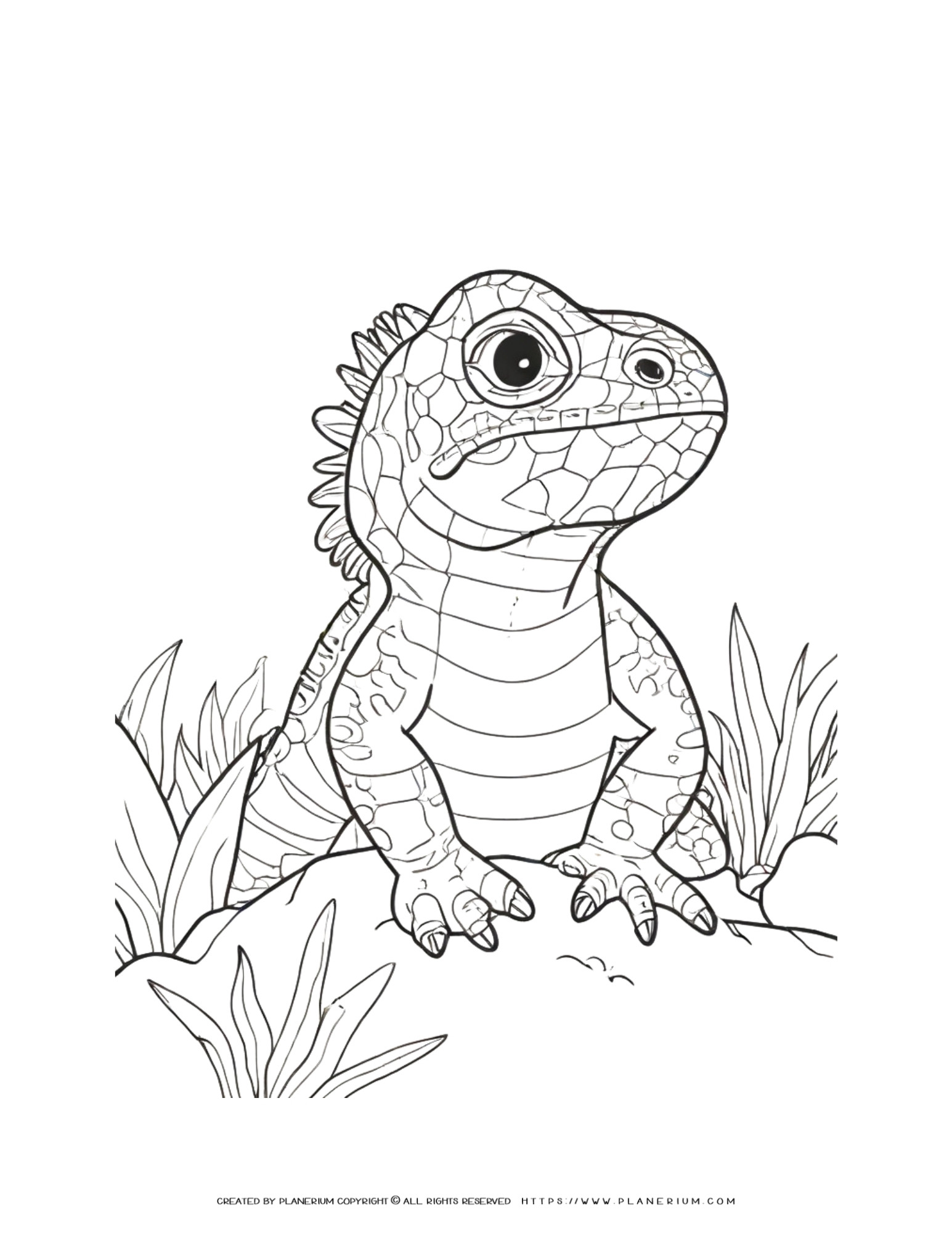 170+ Lizard Coloring Page Designs 66