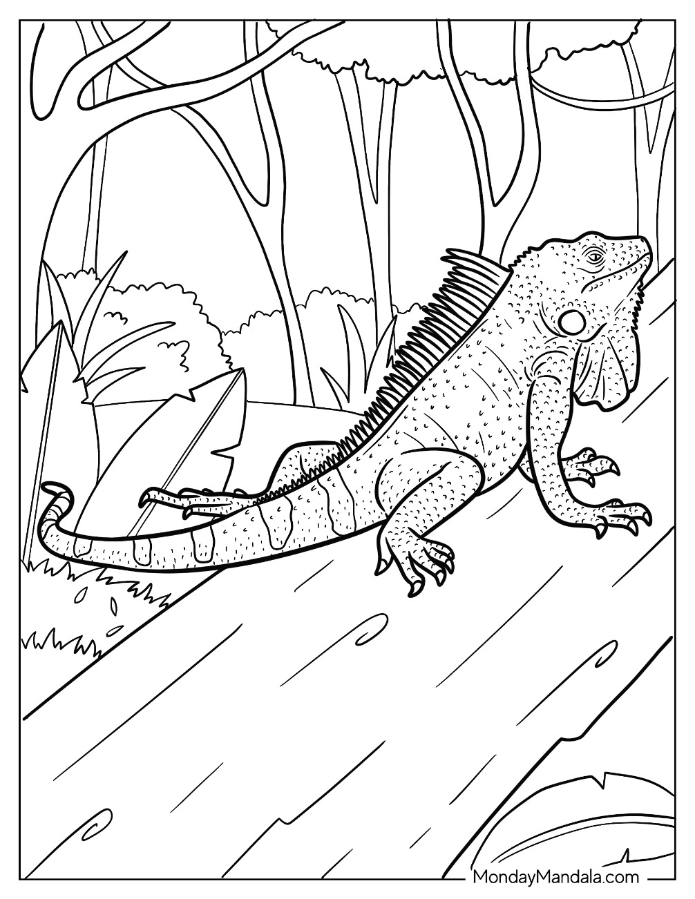 170+ Lizard Coloring Page Designs 7