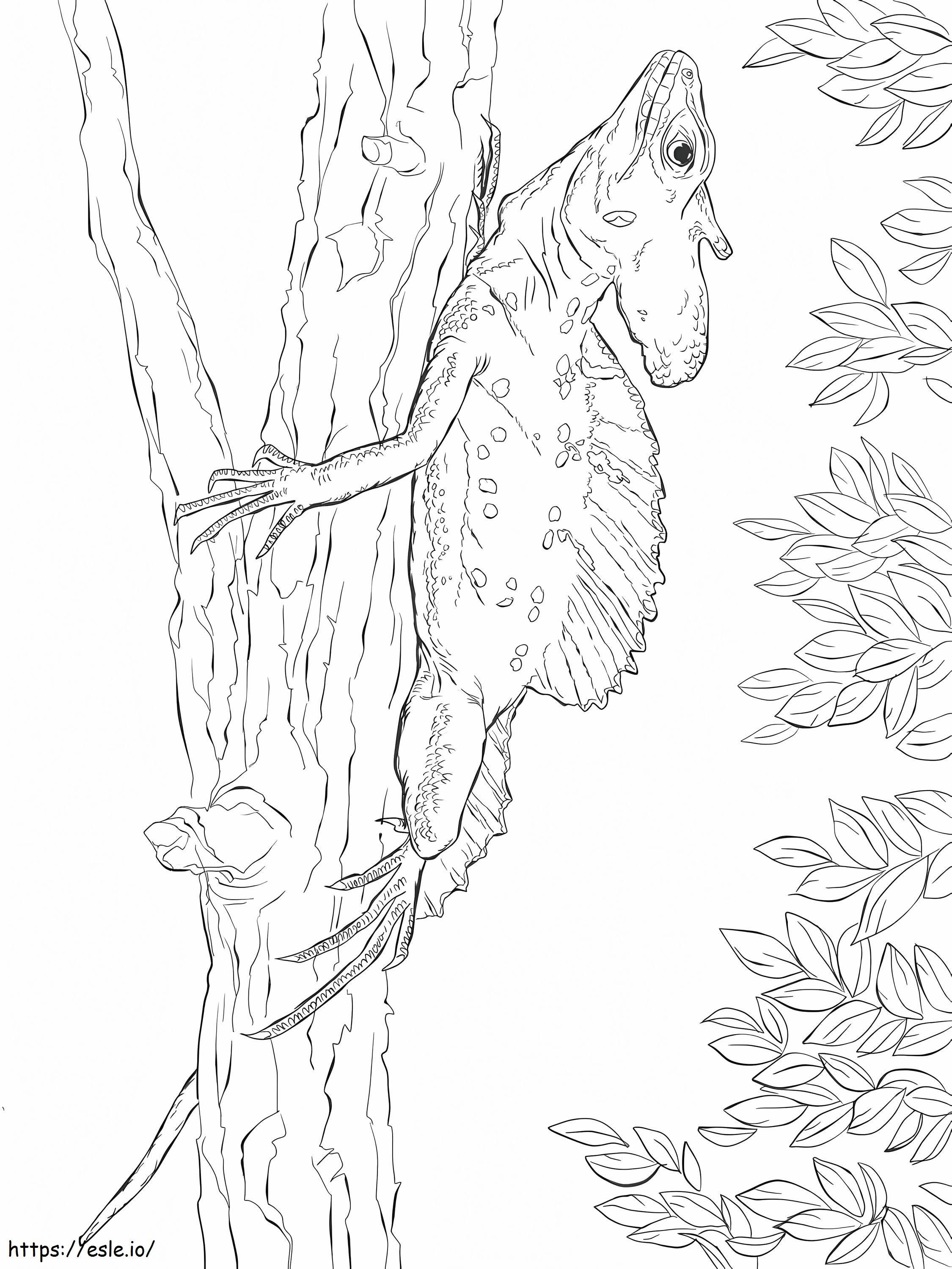 170+ Lizard Coloring Page Designs 72