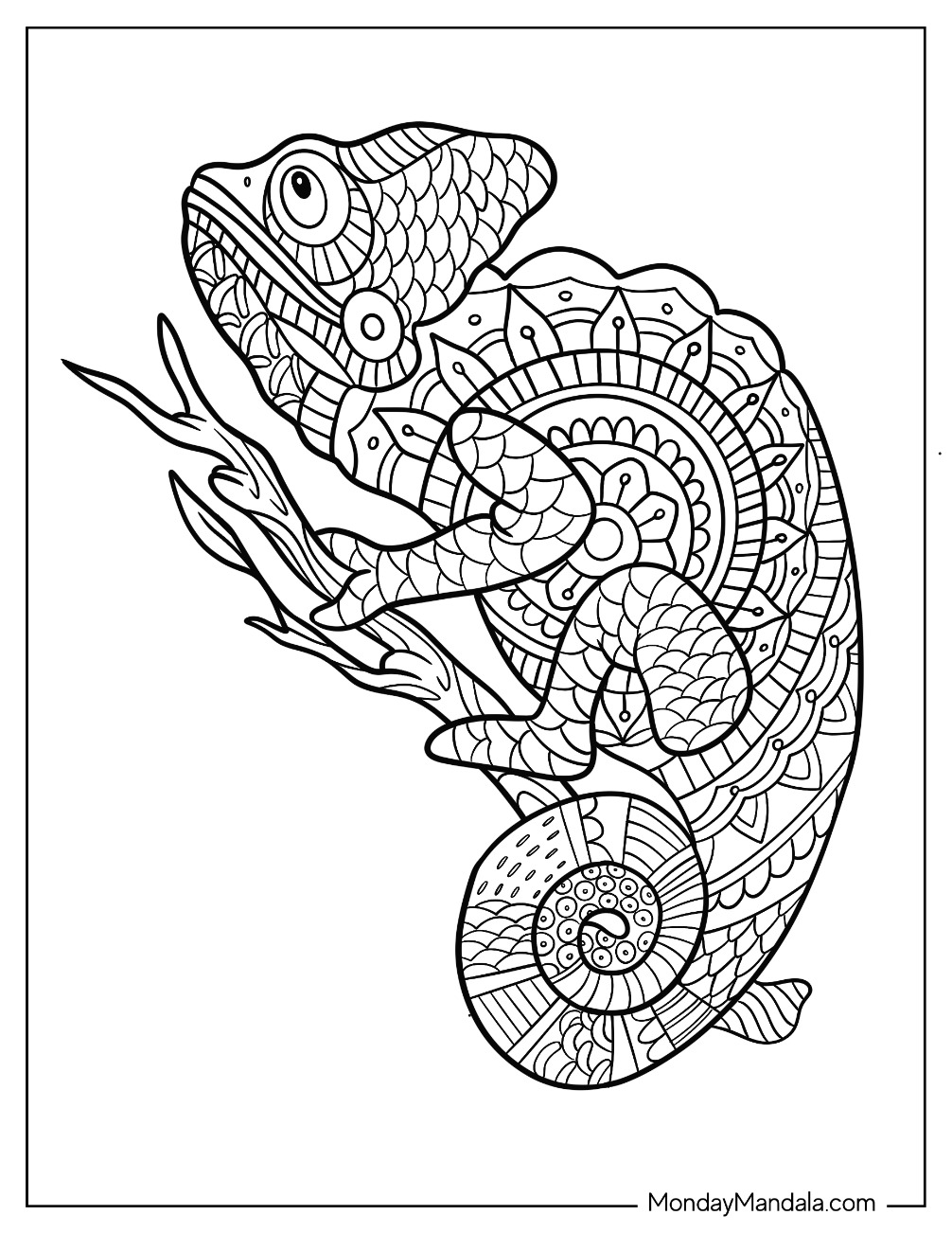 170+ Lizard Coloring Page Designs 75