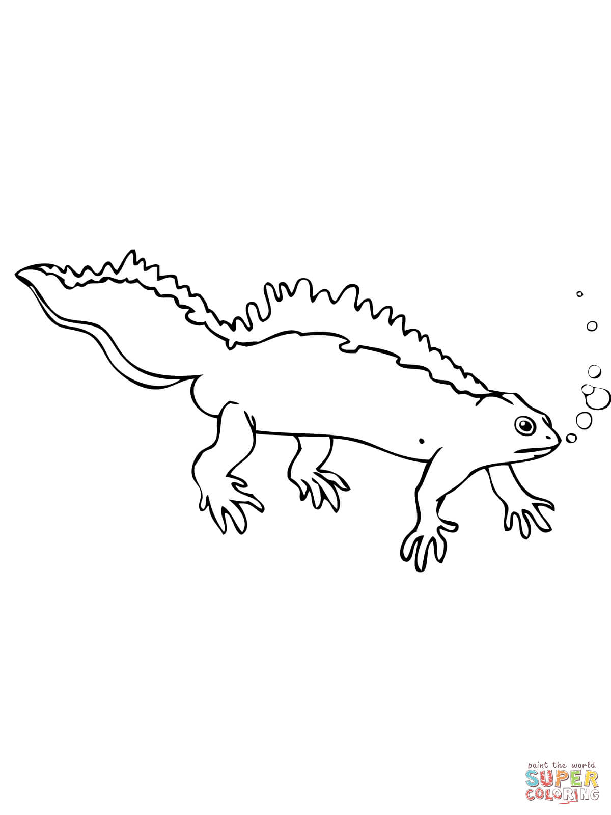 170+ Lizard Coloring Page Designs 76