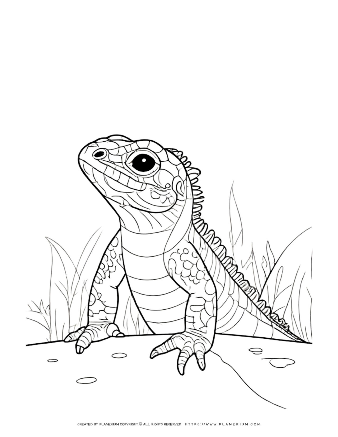 170+ Lizard Coloring Page Designs 77