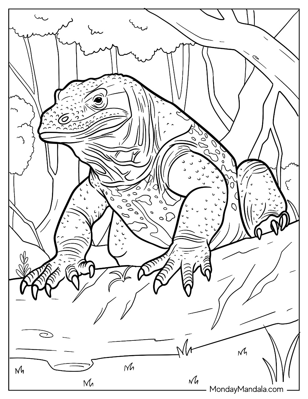 170+ Lizard Coloring Page Designs 78