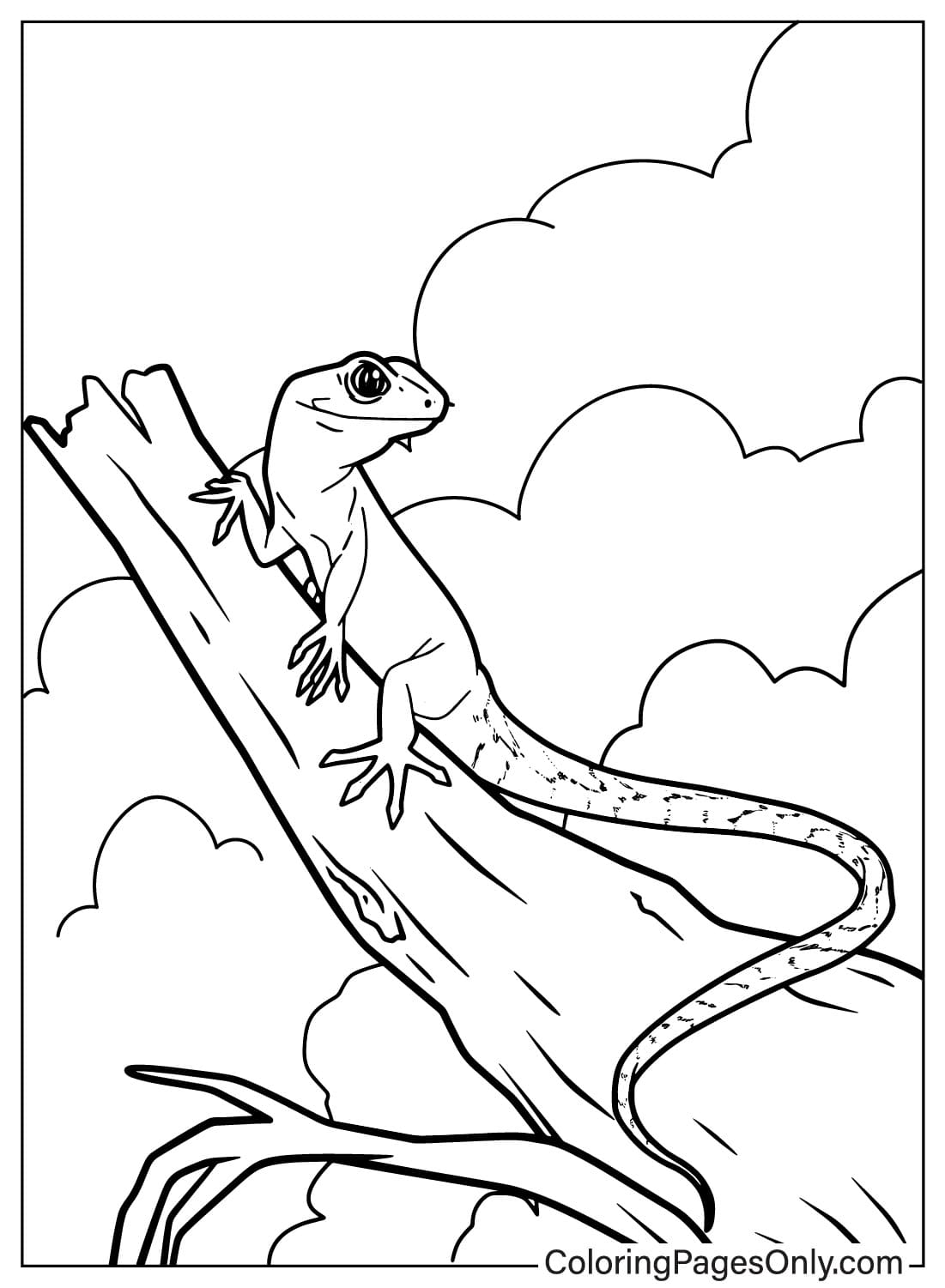 170+ Lizard Coloring Page Designs 81