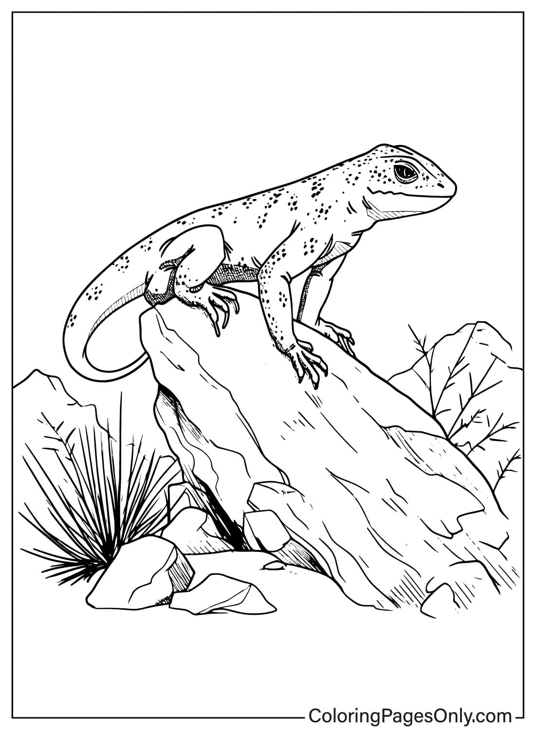 170+ Lizard Coloring Page Designs 82