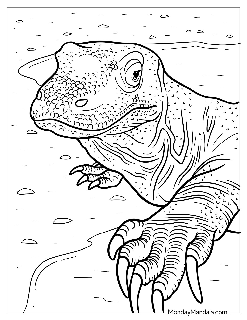 170+ Lizard Coloring Page Designs 86