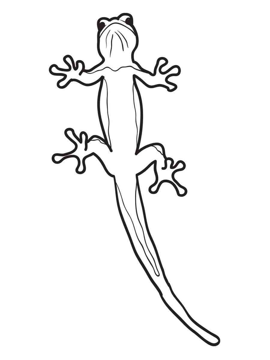 170+ Lizard Coloring Page Designs 88