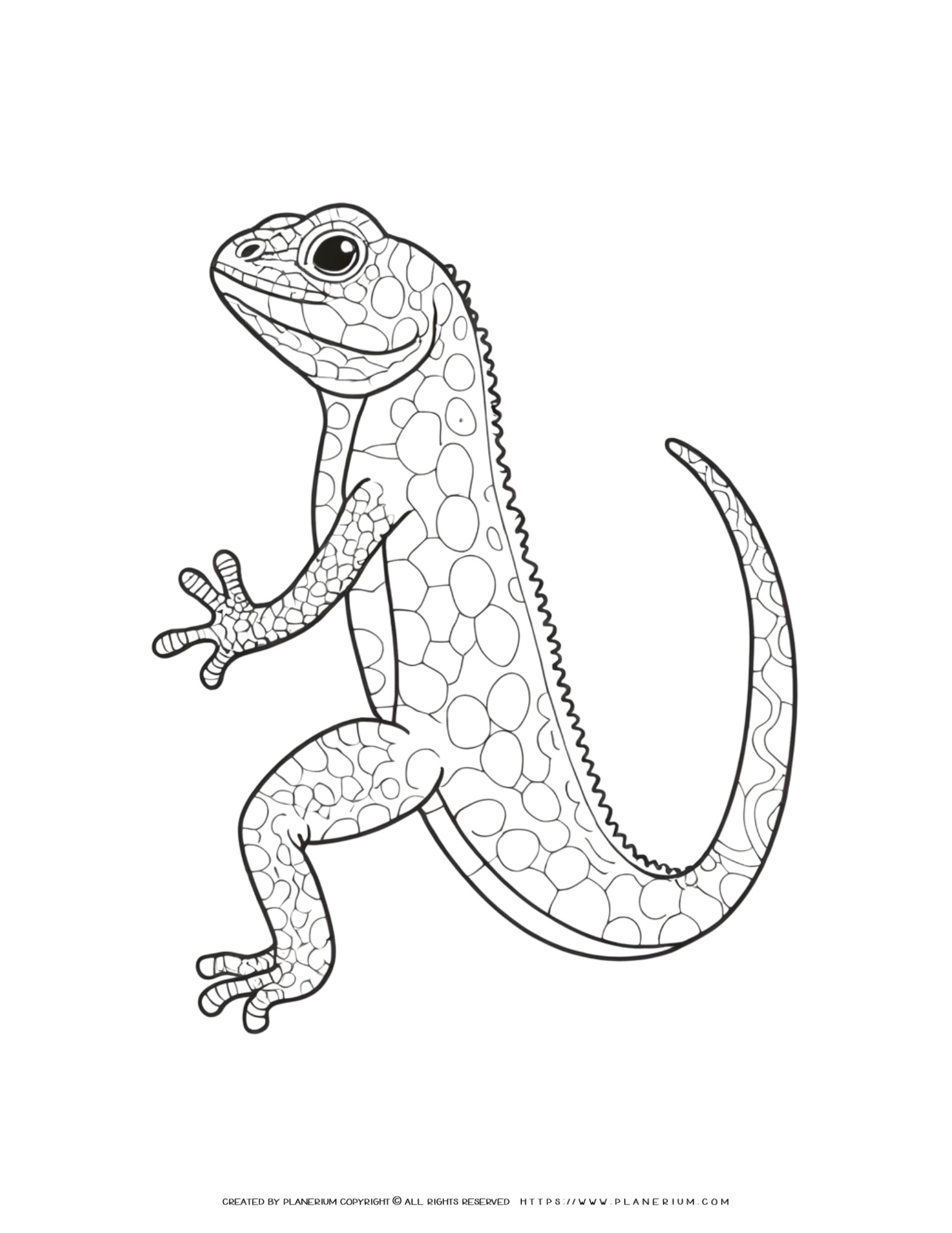 170+ Lizard Coloring Page Designs 9