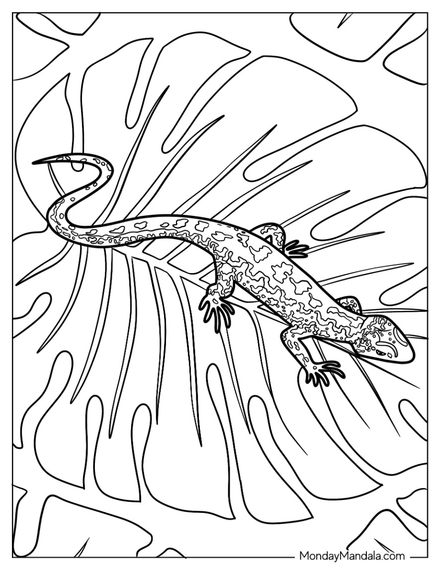 170+ Lizard Coloring Page Designs 95