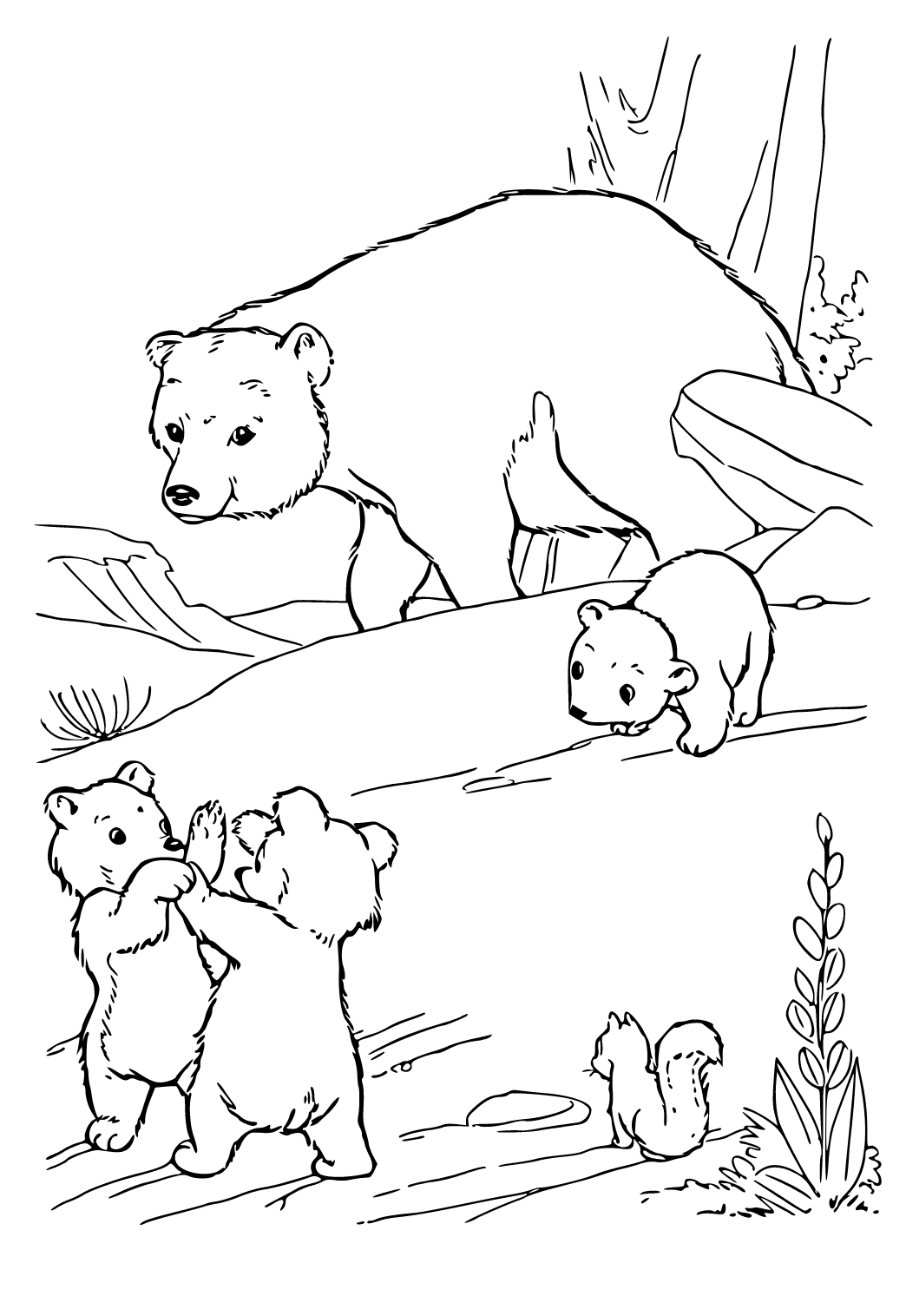 180+ Polar Bear Coloring Pages Printable 100