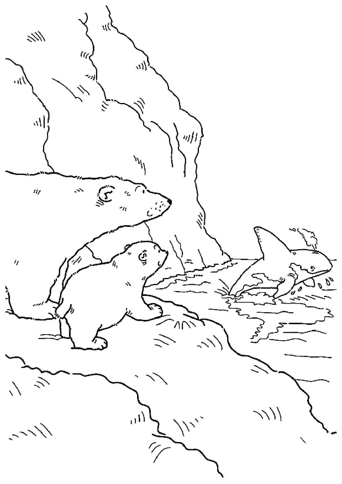 180+ Polar Bear Coloring Pages Printable 122