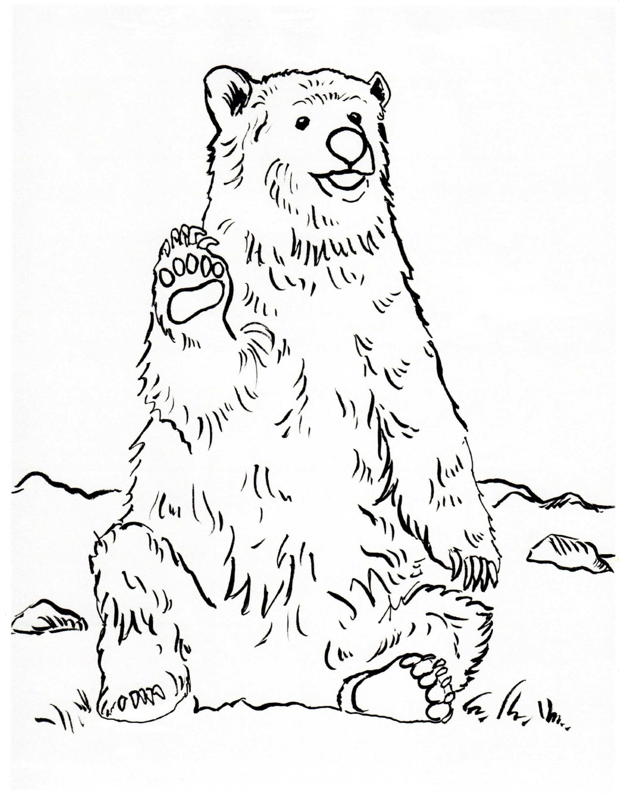 180+ Polar Bear Coloring Pages Printable 166