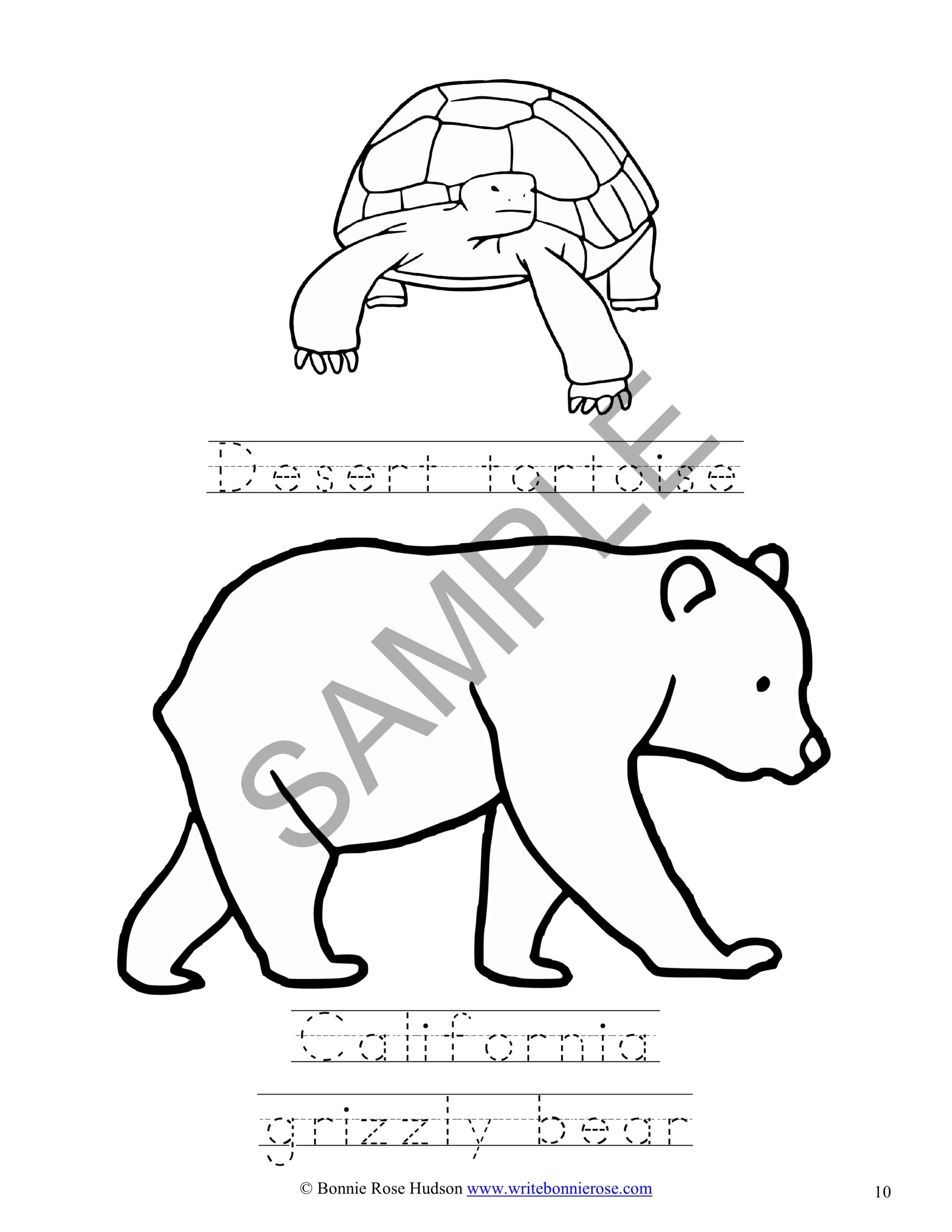 180+ Polar Bear Coloring Pages Printable 168