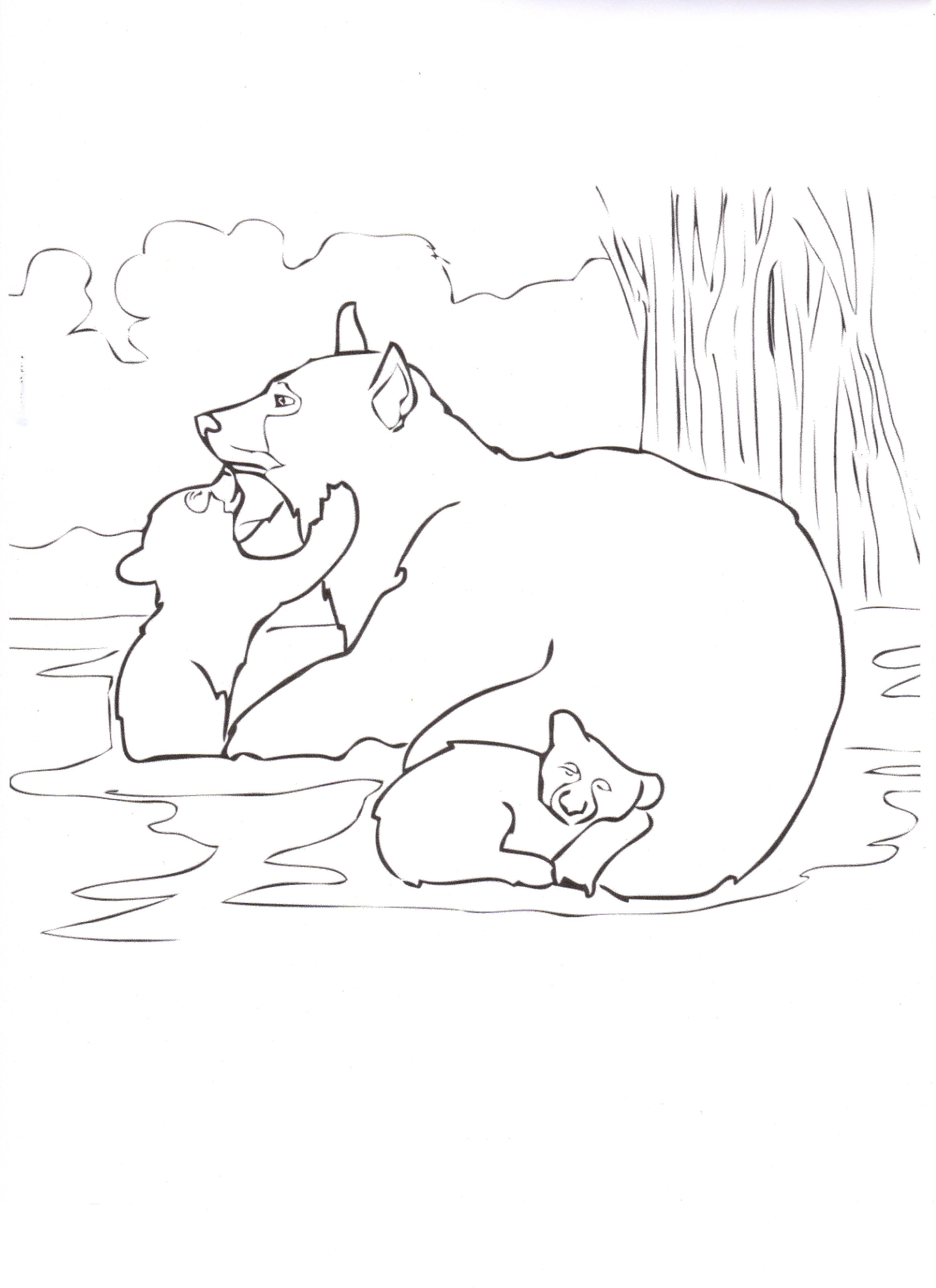 180+ Polar Bear Coloring Pages Printable 186