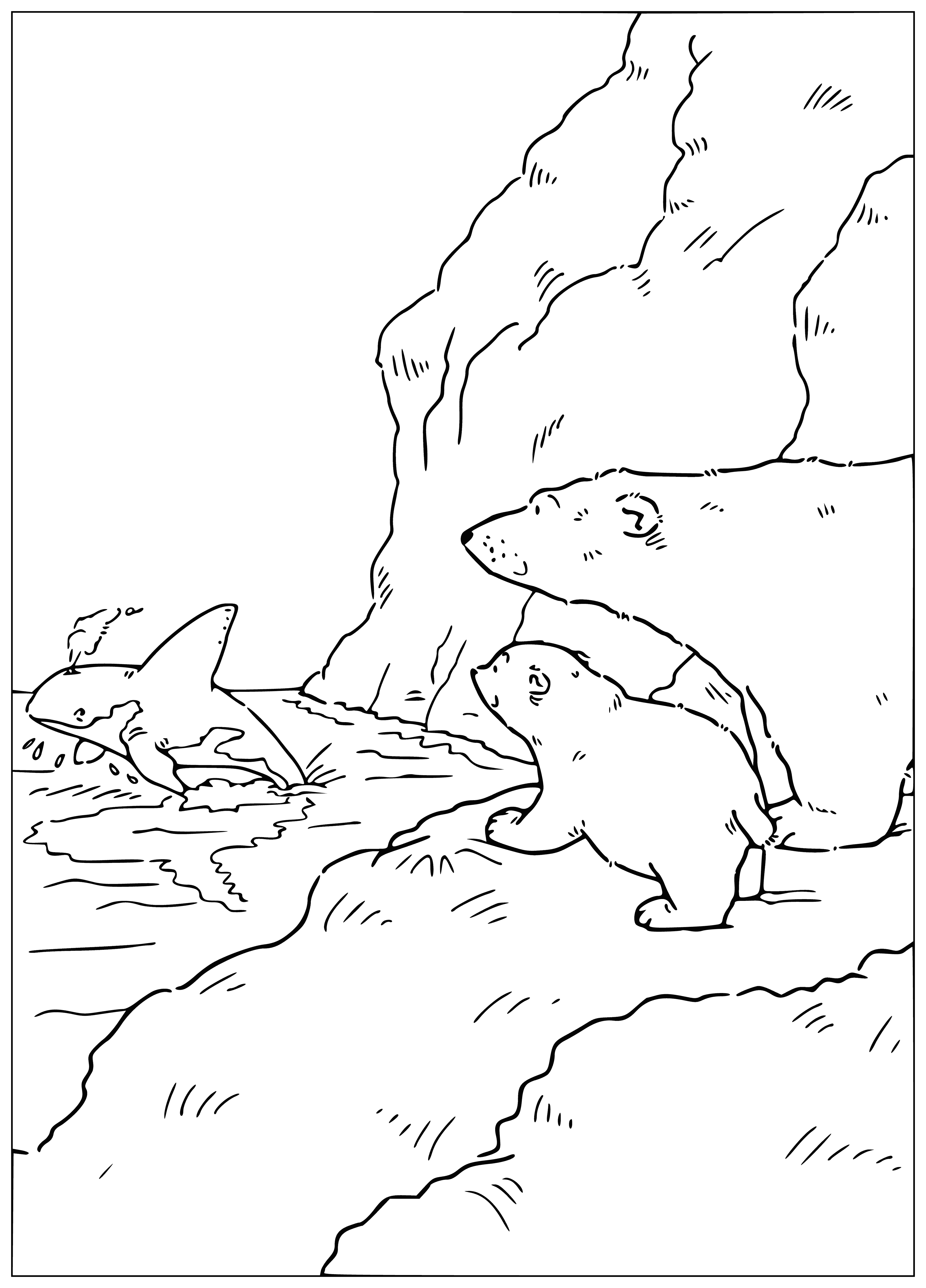 180+ Polar Bear Coloring Pages Printable 187