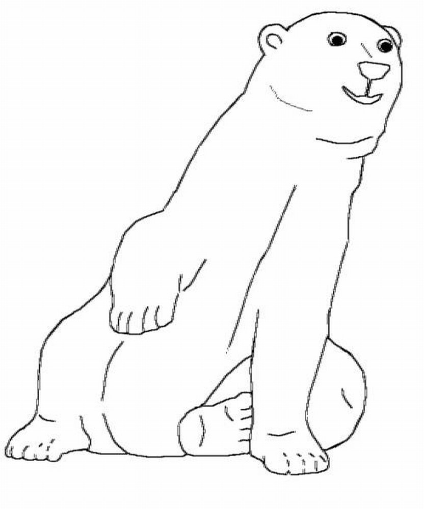 180+ Polar Bear Coloring Pages Printable 22