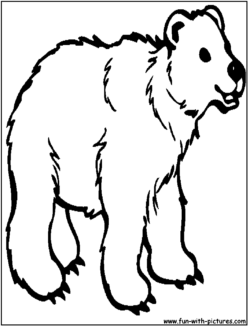 180+ Polar Bear Coloring Pages Printable 24