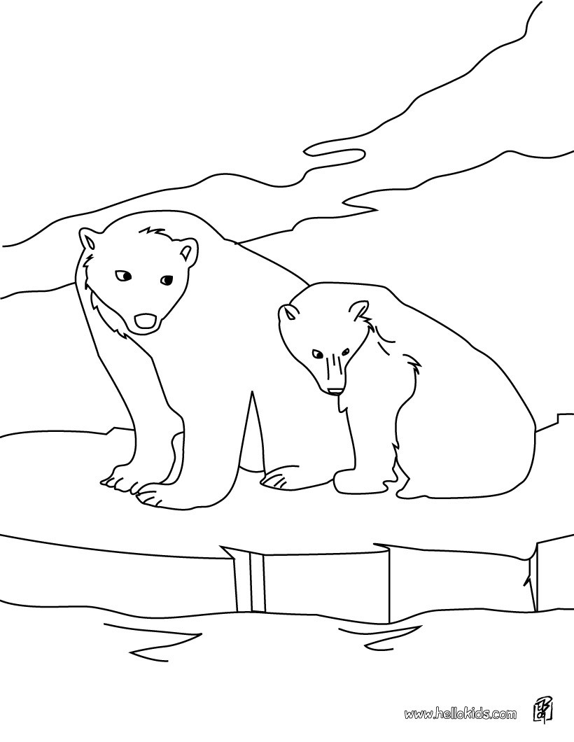 180+ Polar Bear Coloring Pages Printable 27