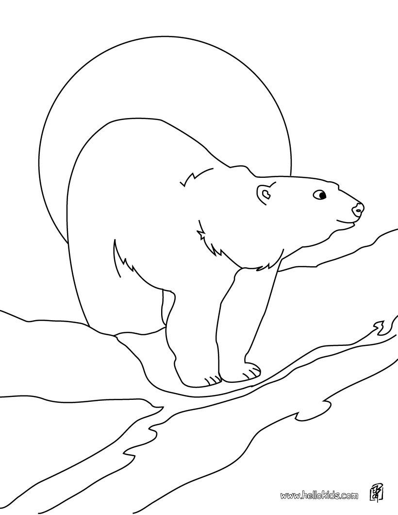 180+ Polar Bear Coloring Pages Printable 28