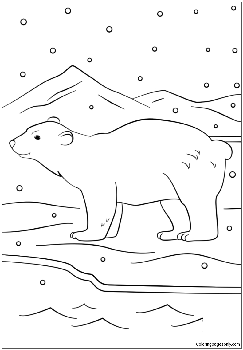 180+ Polar Bear Coloring Pages Printable 31