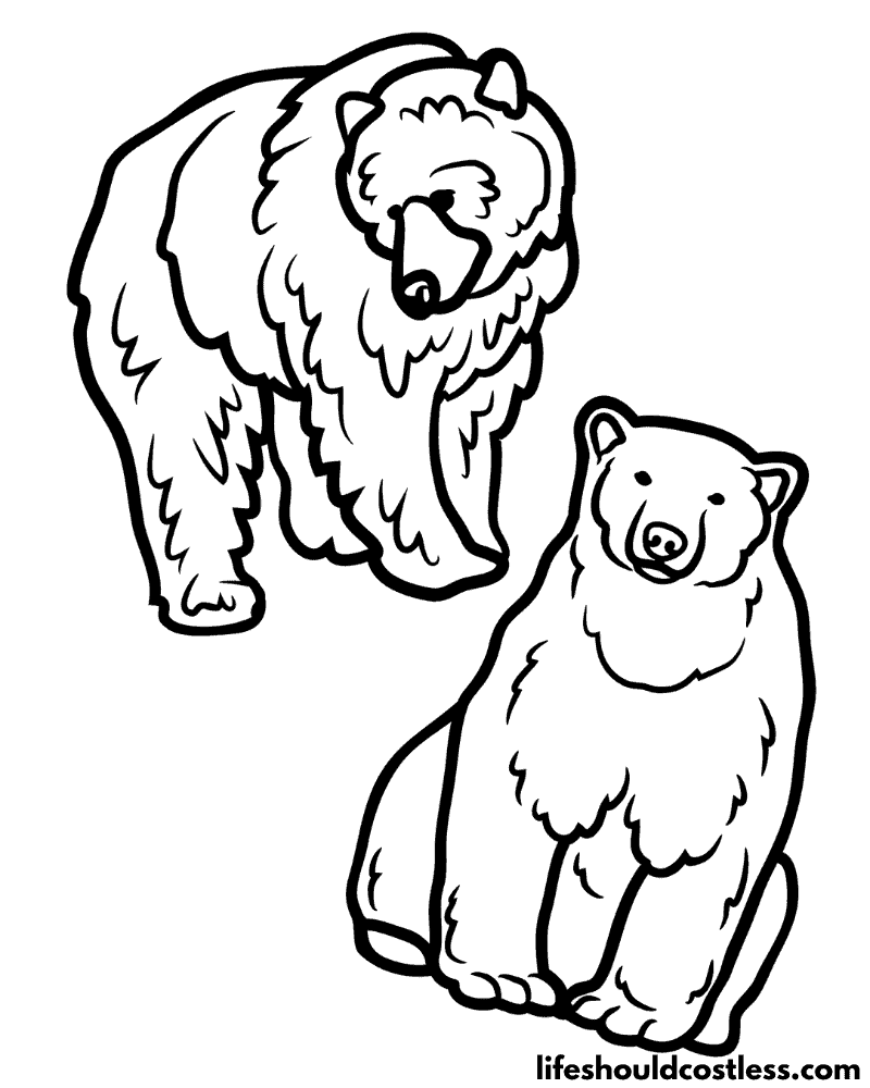 180+ Polar Bear Coloring Pages Printable 4