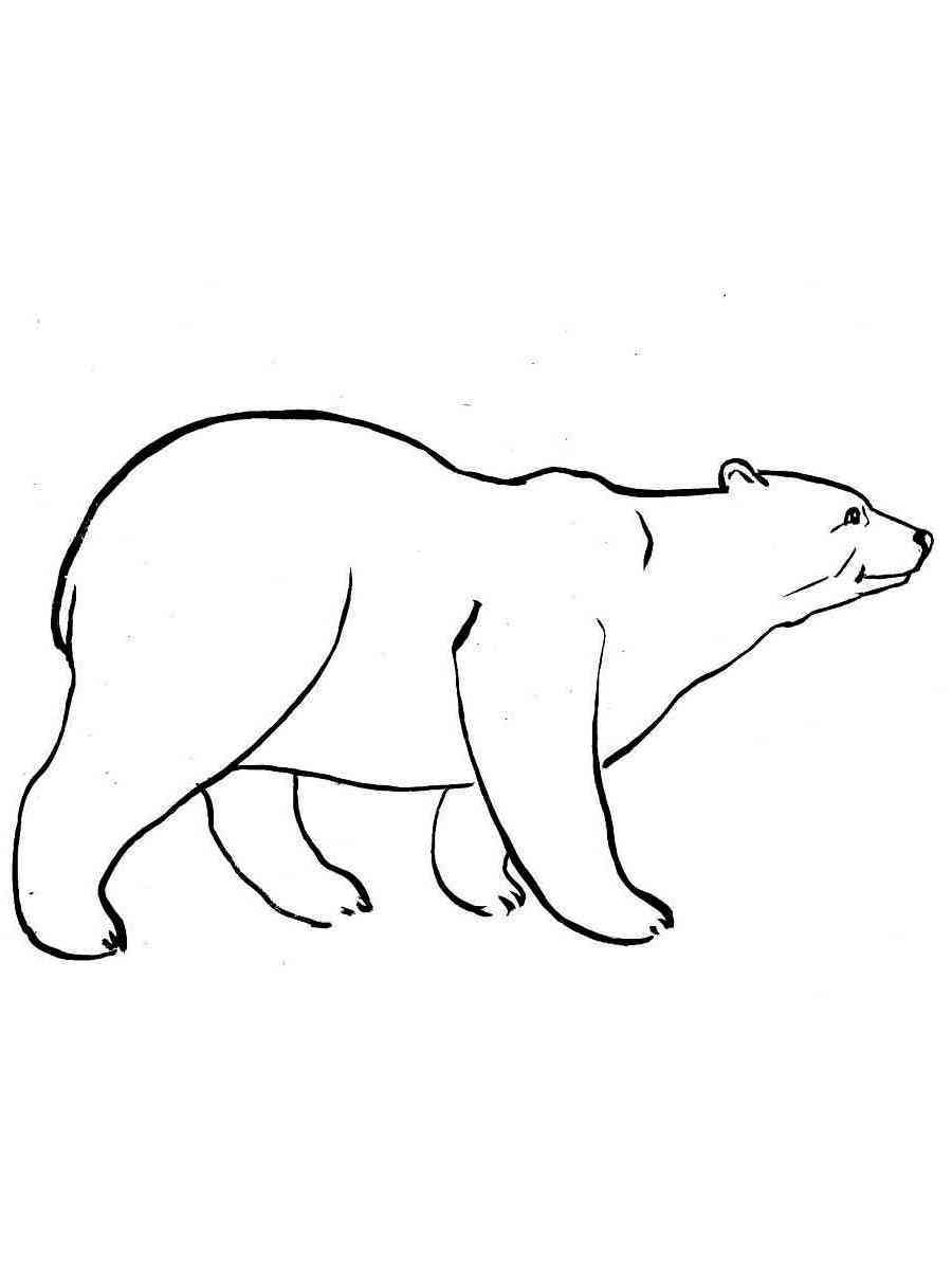 180+ Polar Bear Coloring Pages Printable 40