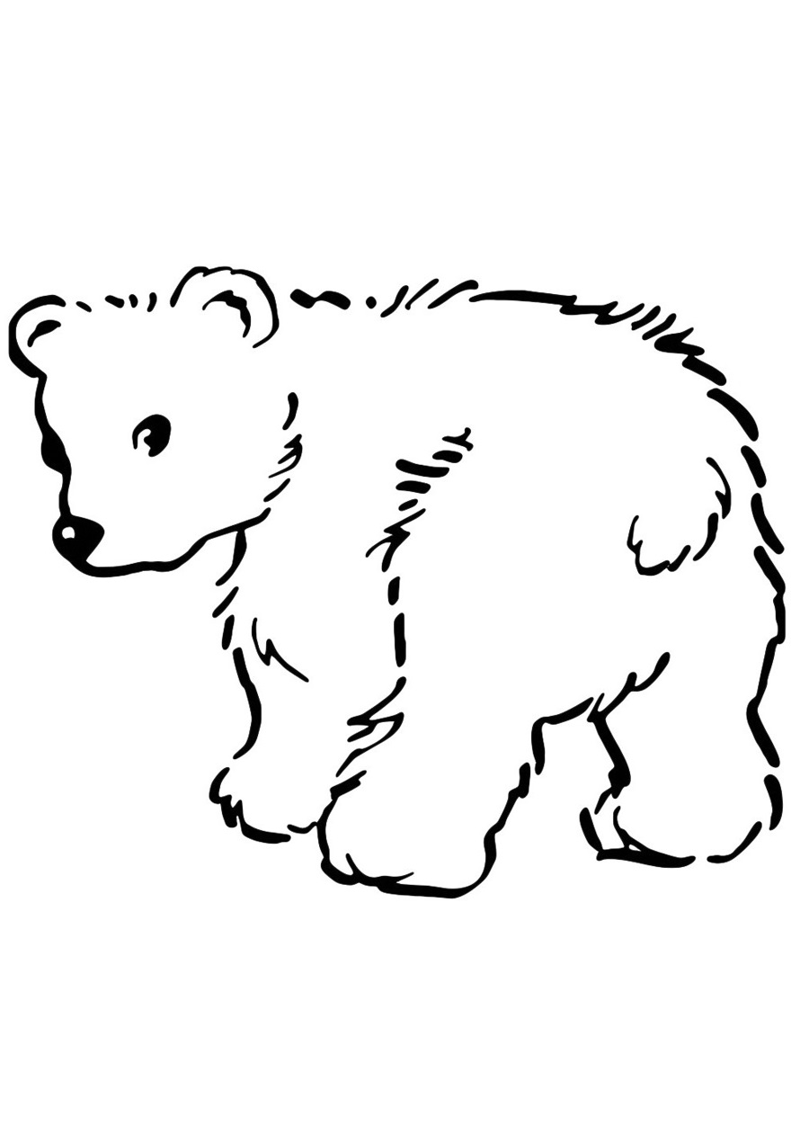 180+ Polar Bear Coloring Pages Printable 46