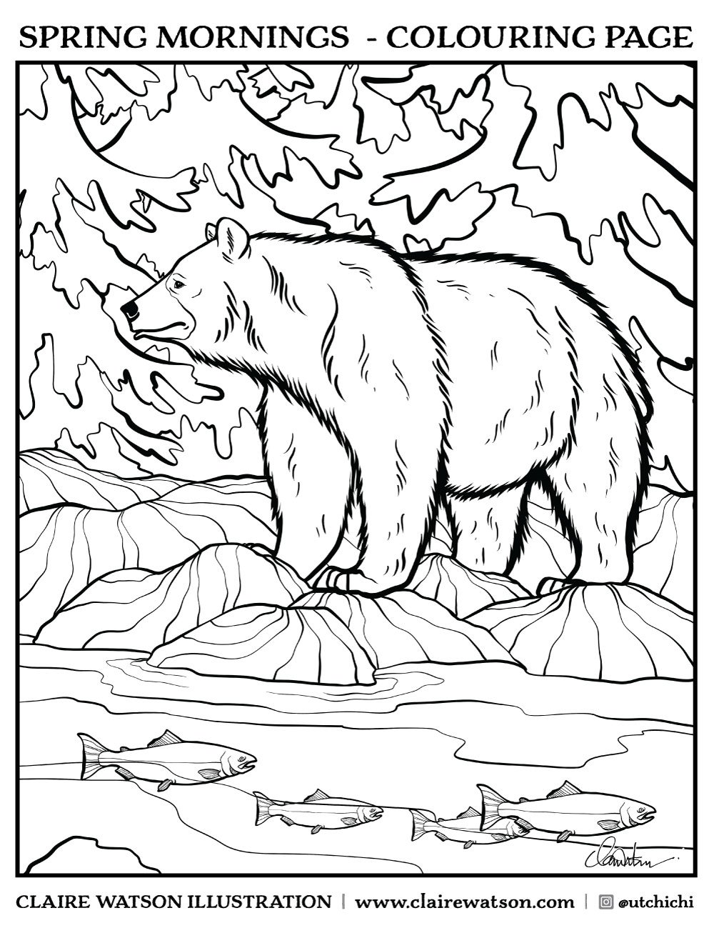 180+ Polar Bear Coloring Pages Printable 70