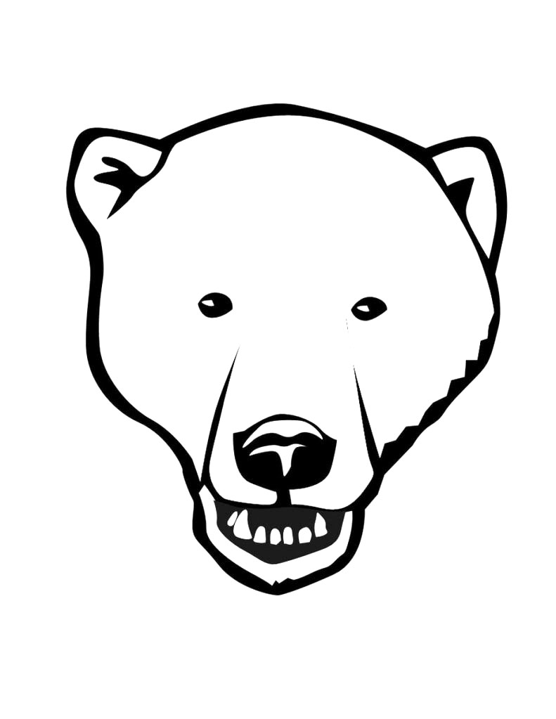 180+ Polar Bear Coloring Pages Printable 8