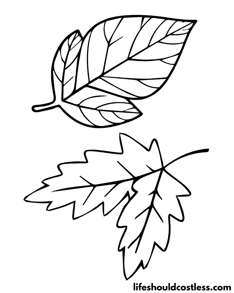 194+ Maple Coloring Pages Printable 108