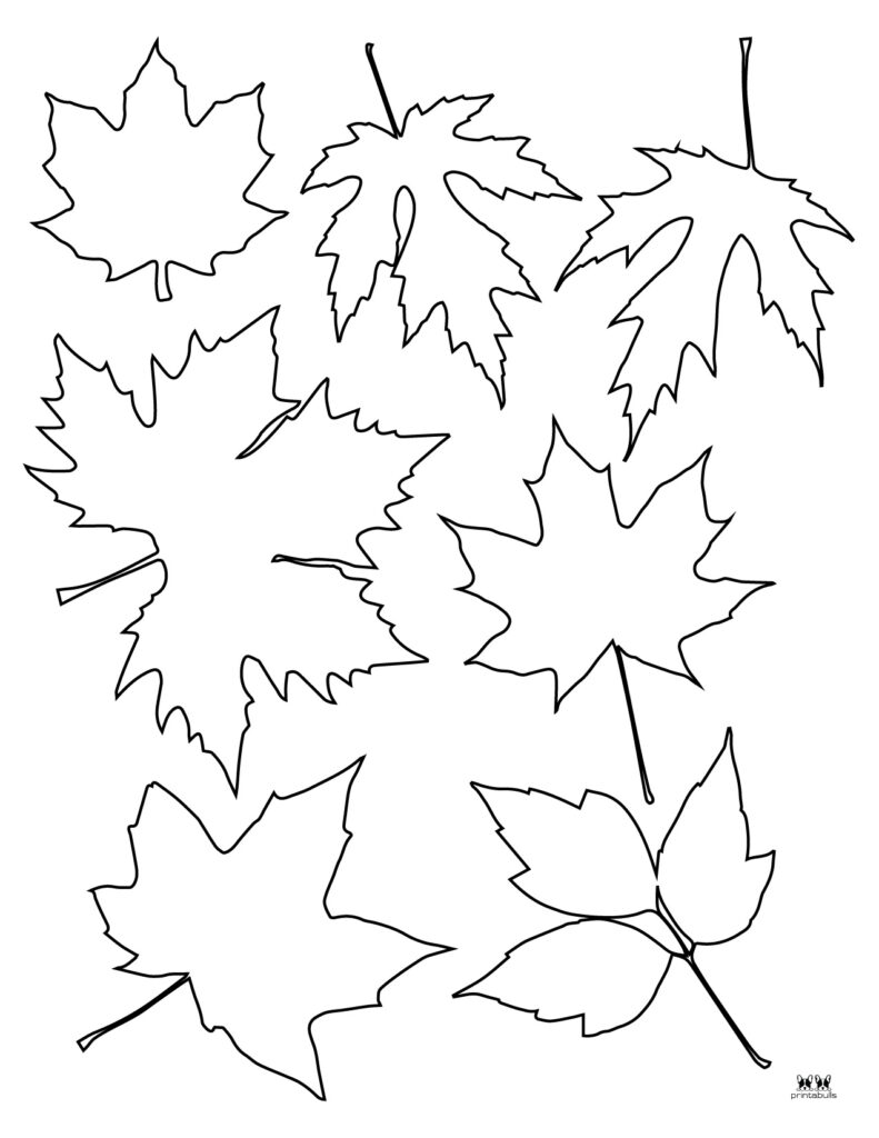 194+ Maple Coloring Pages Printable 111