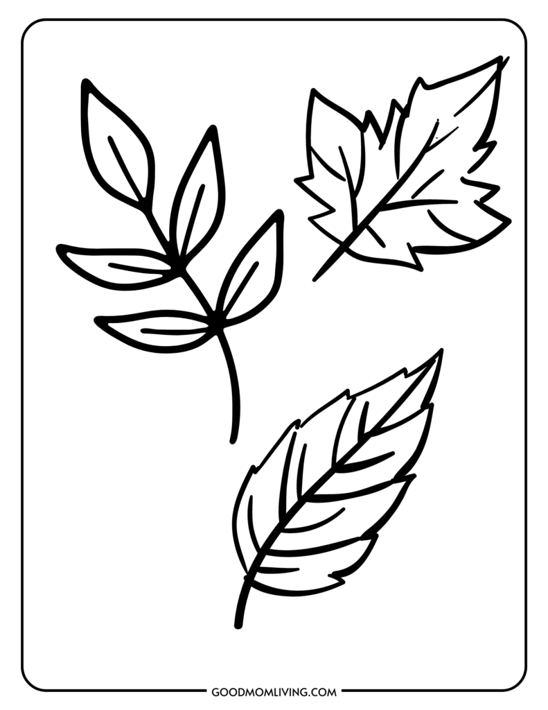 194+ Maple Coloring Pages Printable 114