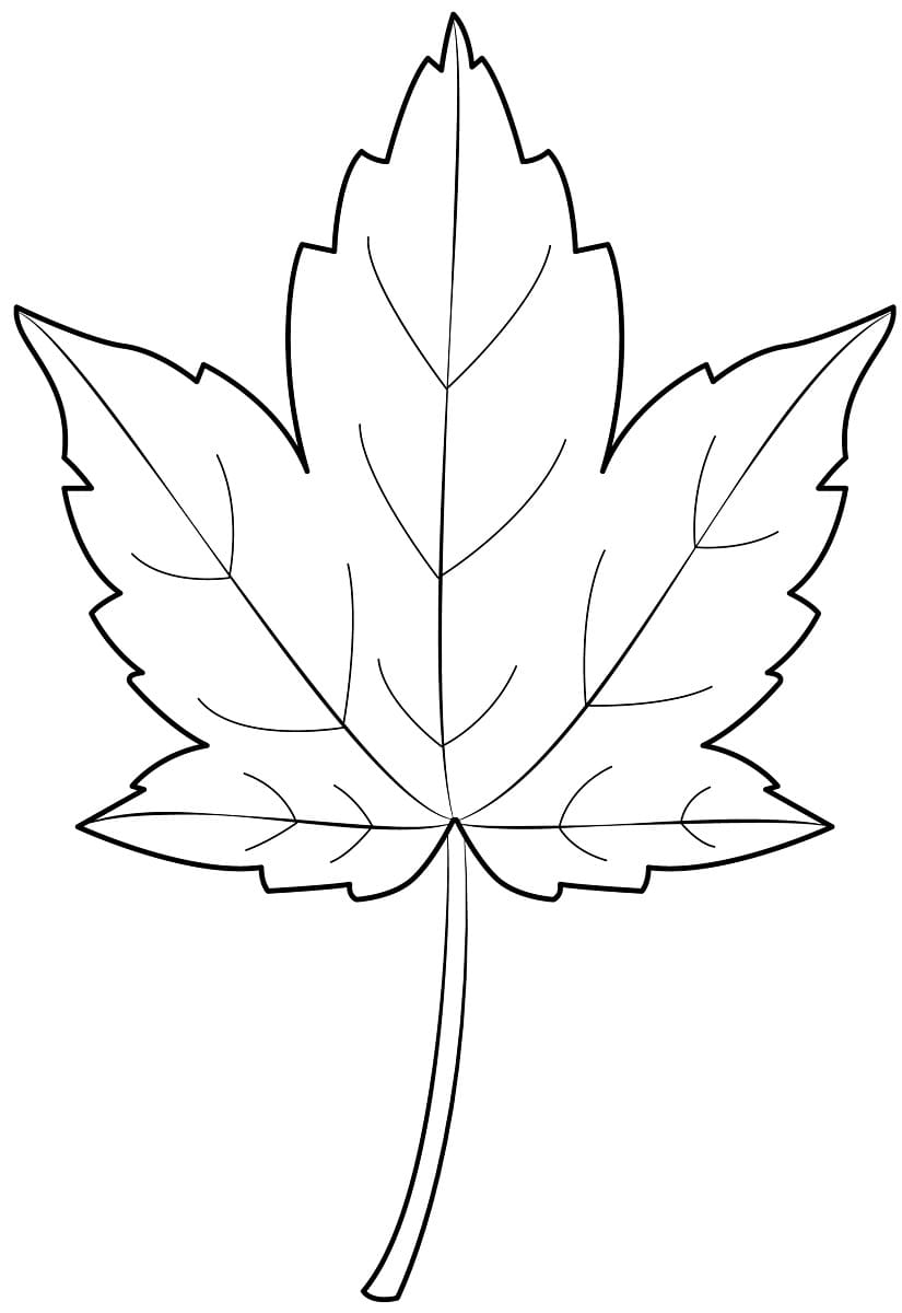 194+ Maple Coloring Pages Printable 122