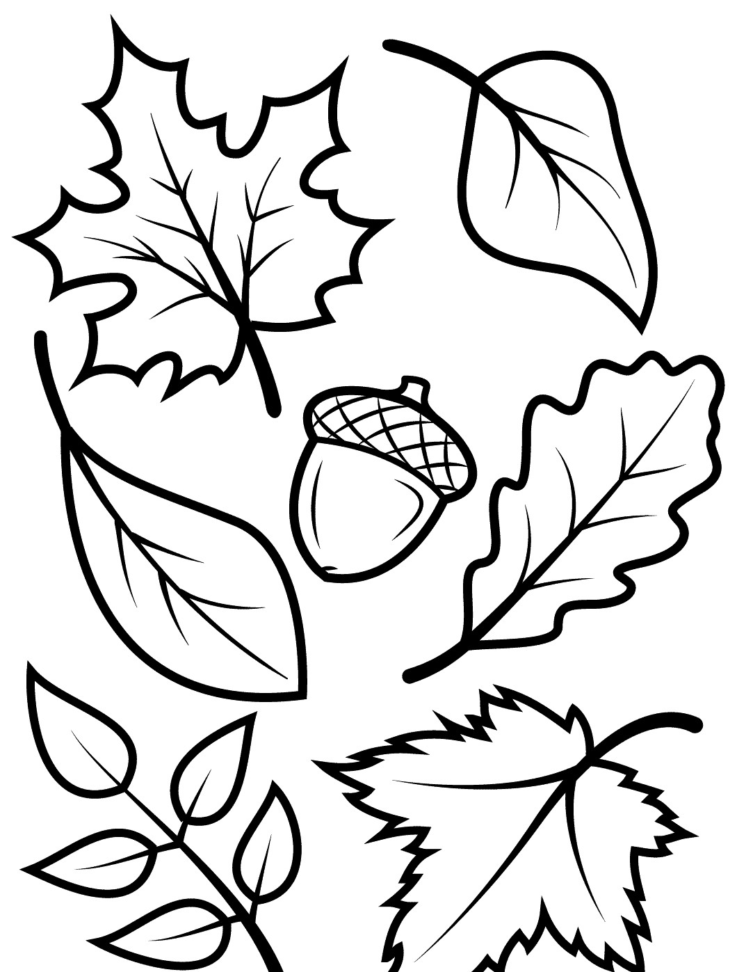 194+ Maple Coloring Pages Printable 141