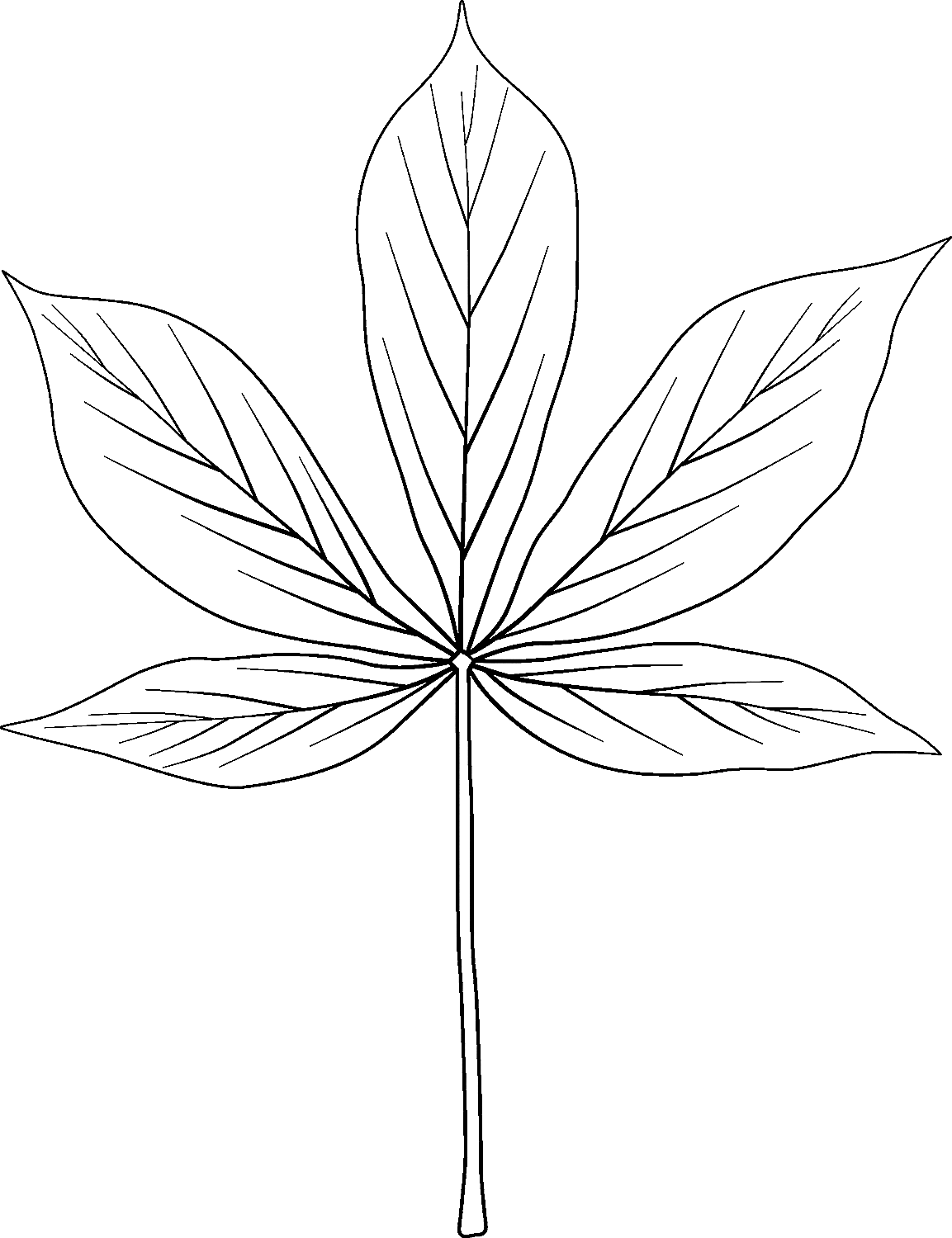 194+ Maple Coloring Pages Printable 152