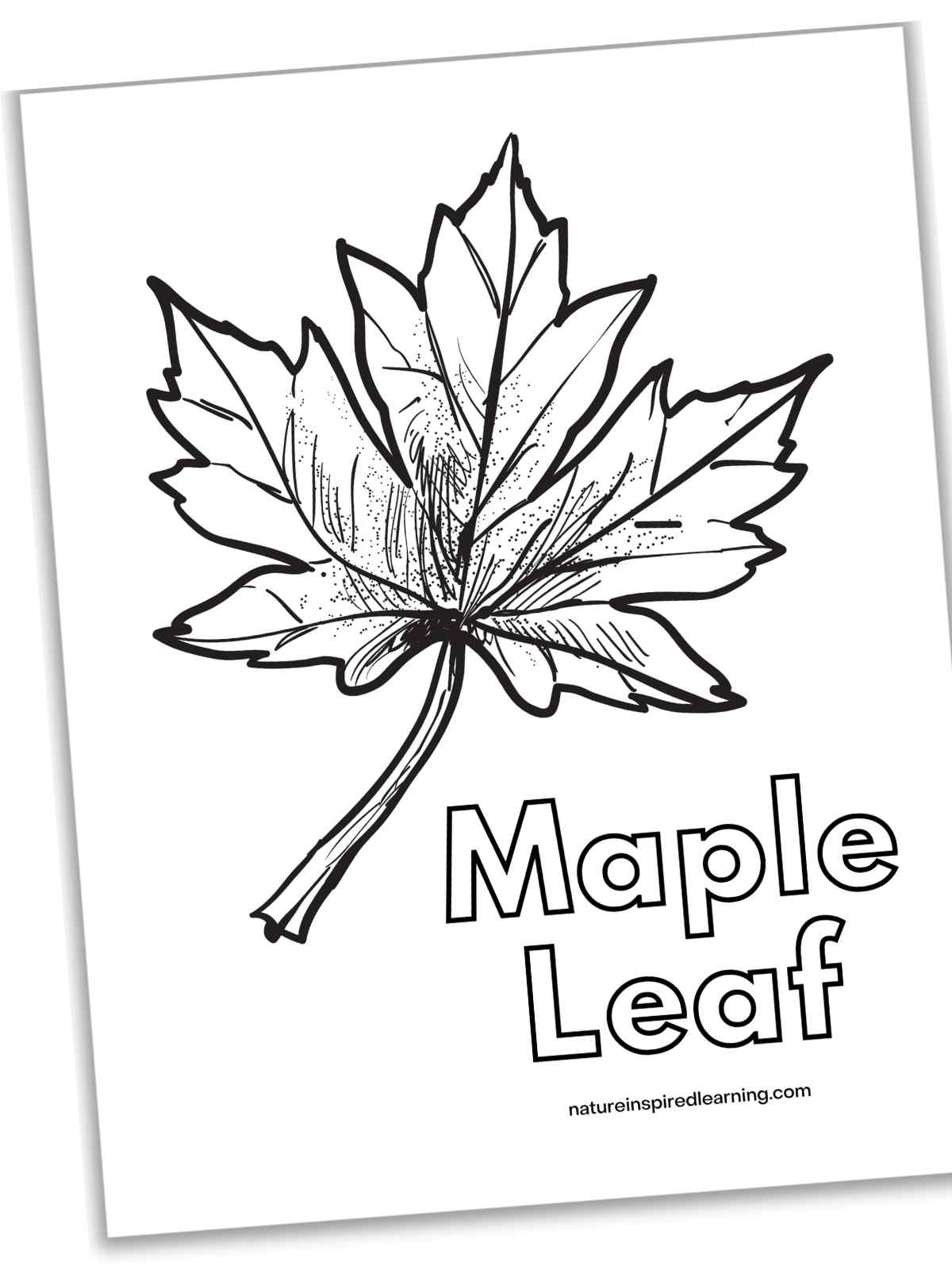 194+ Maple Coloring Pages Printable 161