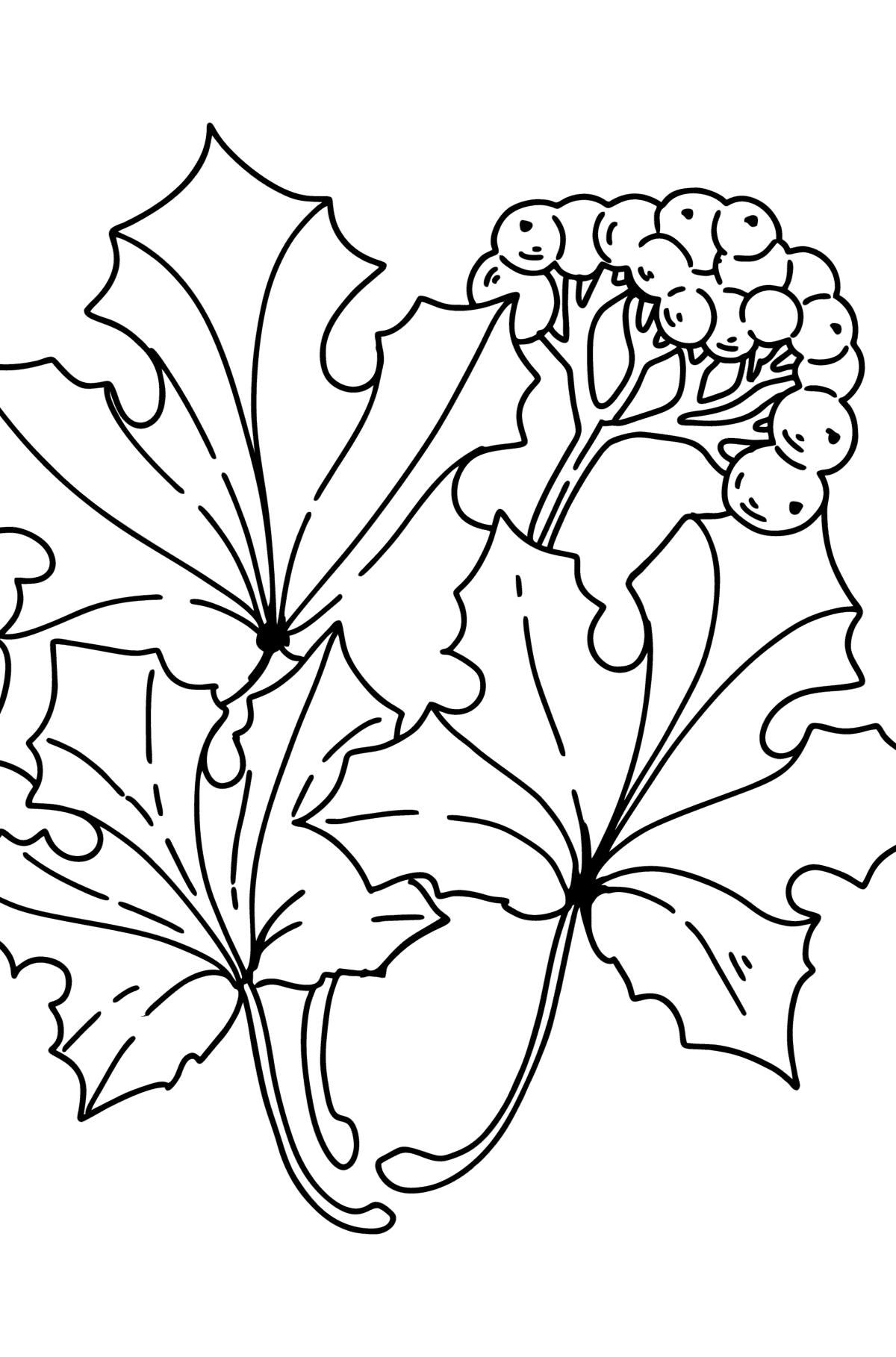 194+ Maple Coloring Pages Printable 170