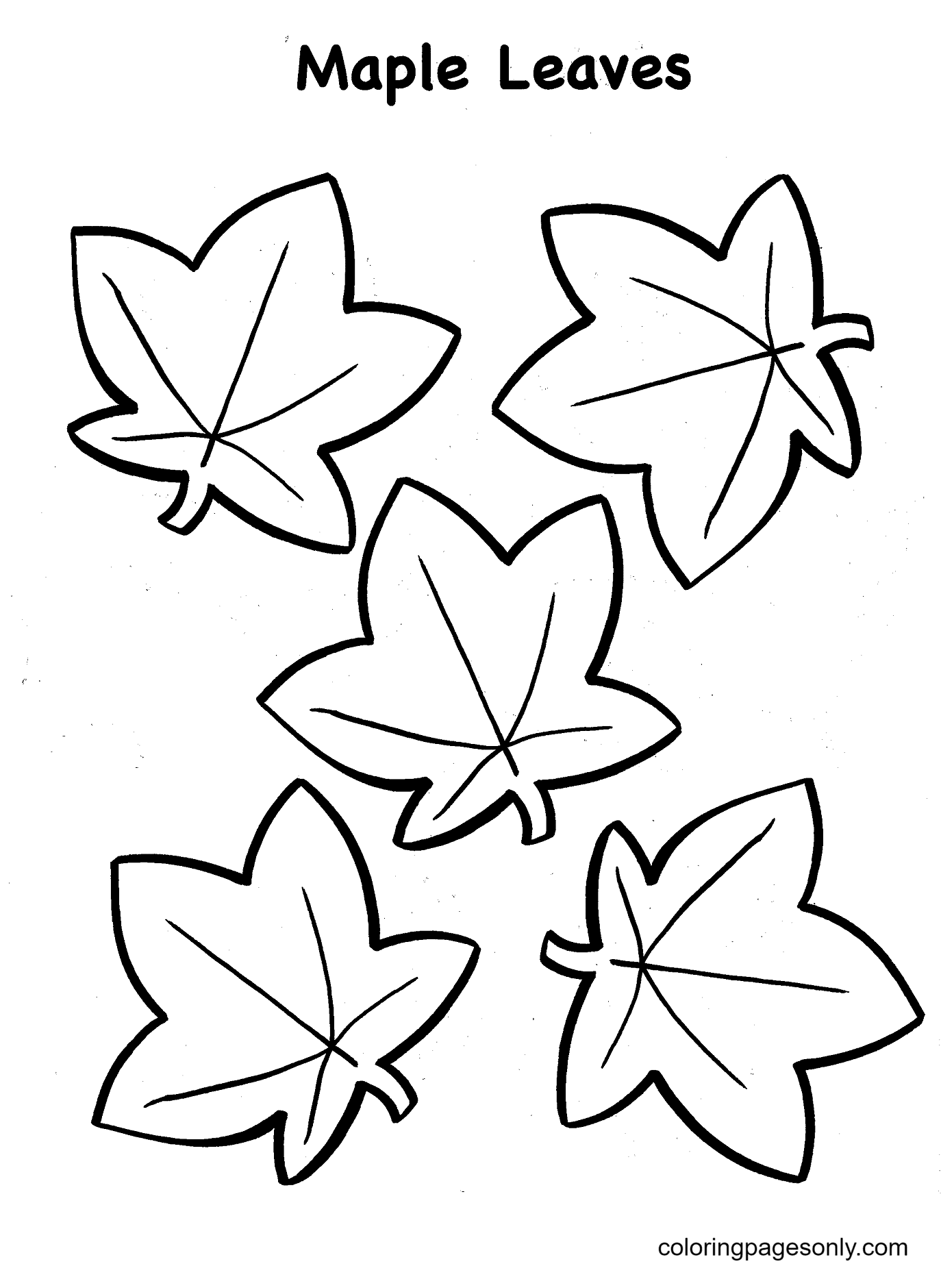 194+ Maple Coloring Pages Printable 175