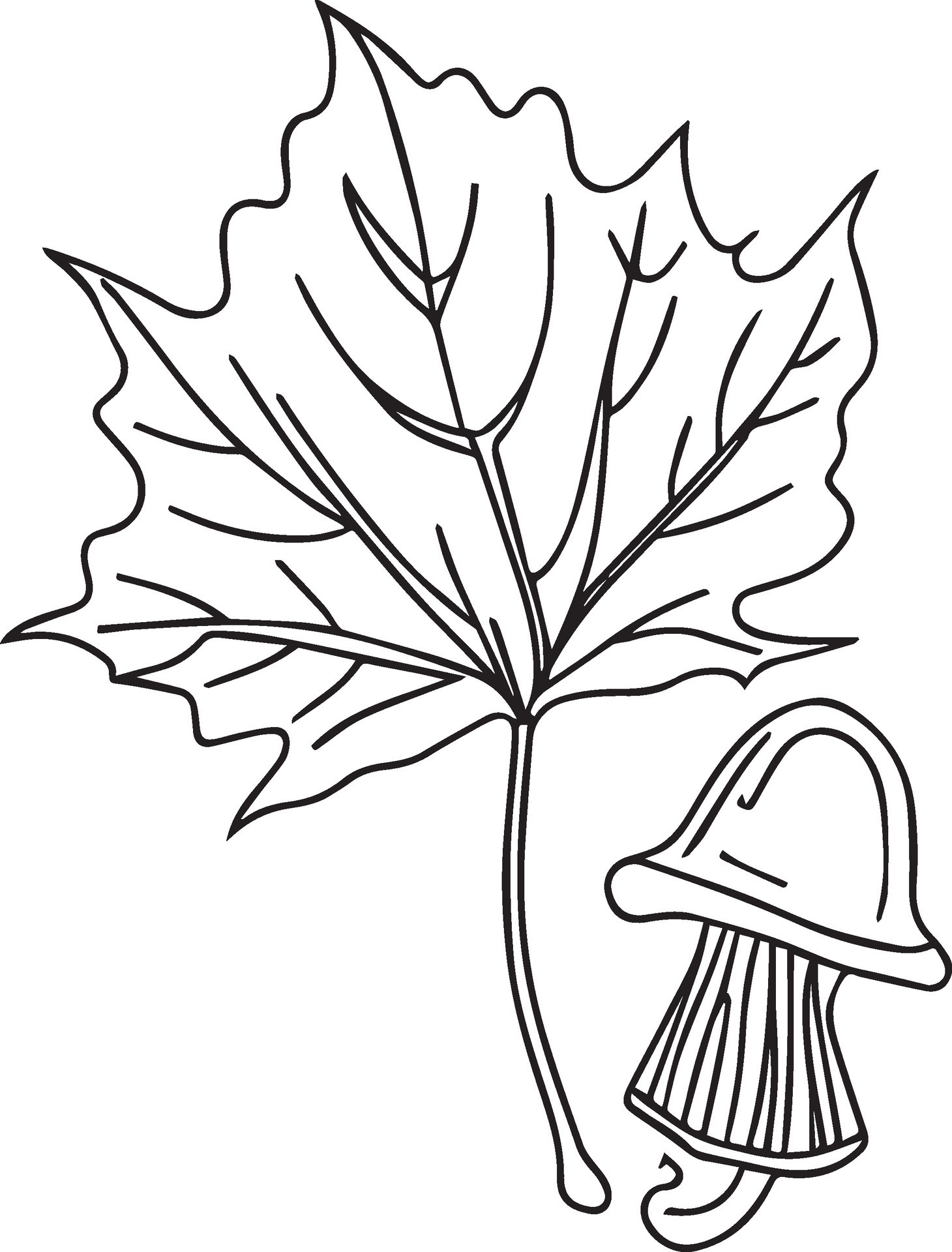 194+ Maple Coloring Pages Printable 176