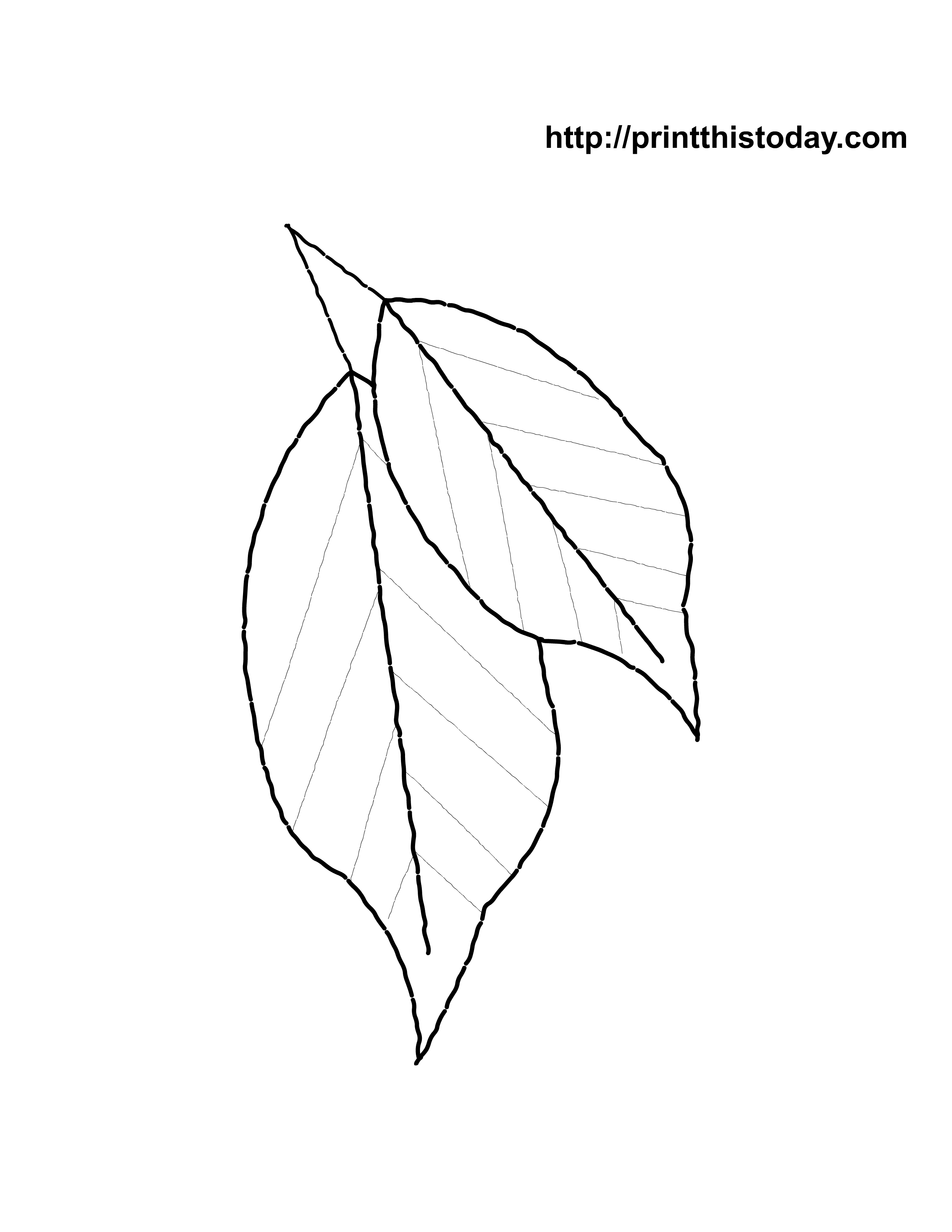 194+ Maple Coloring Pages Printable 194