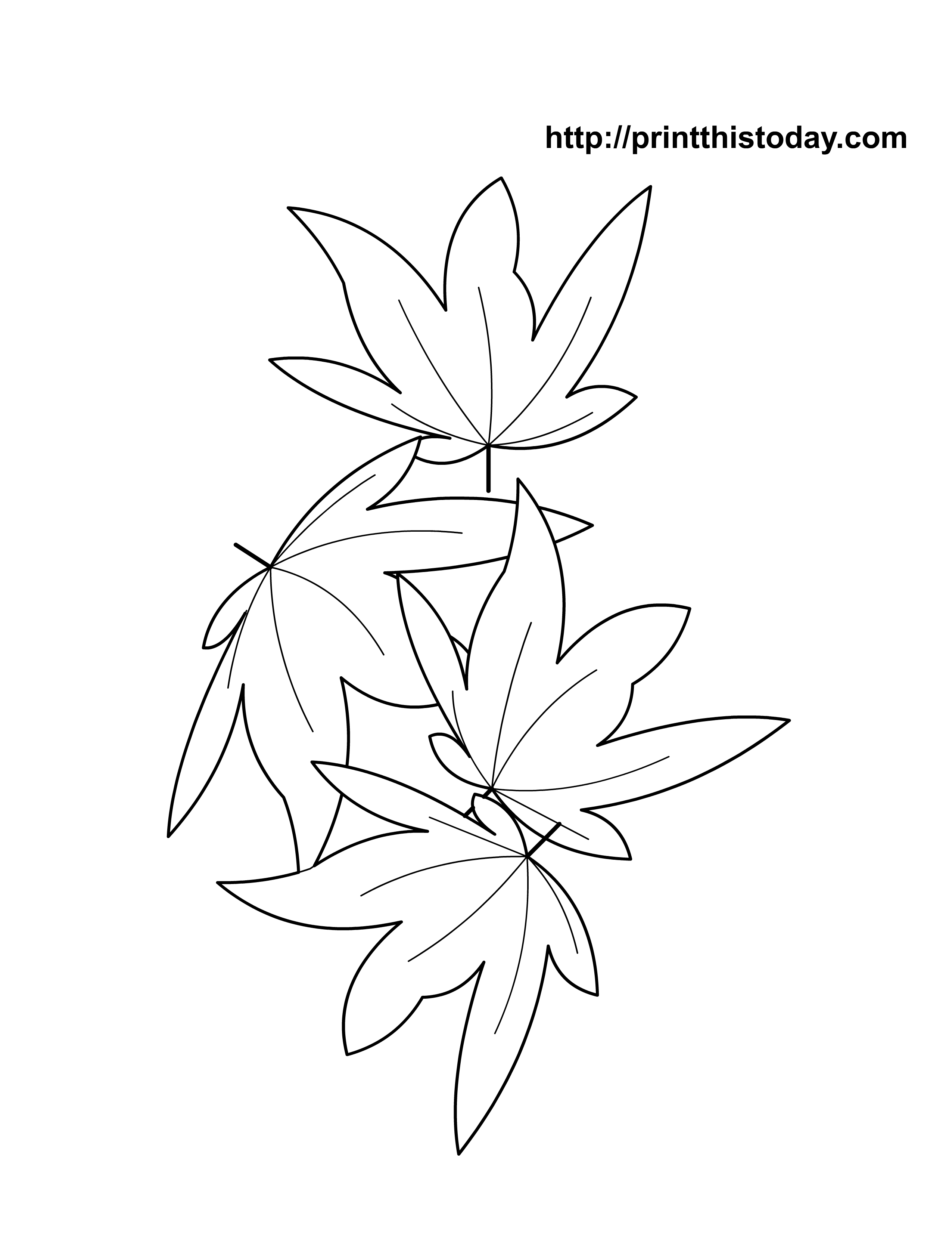 194+ Maple Coloring Pages Printable 195