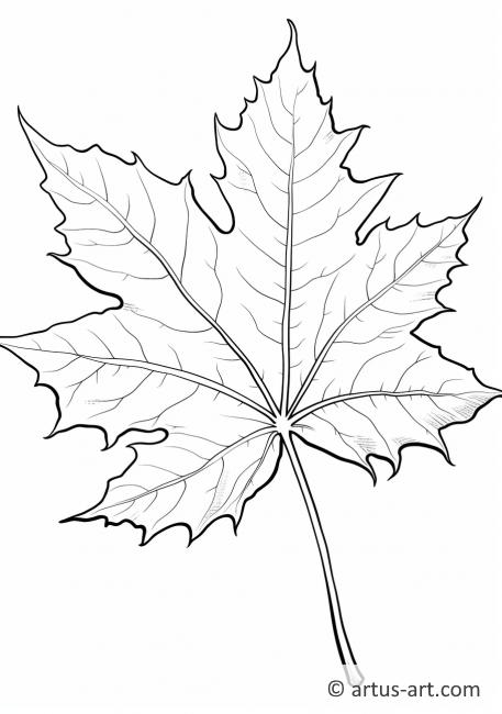 194+ Maple Coloring Pages Printable 21