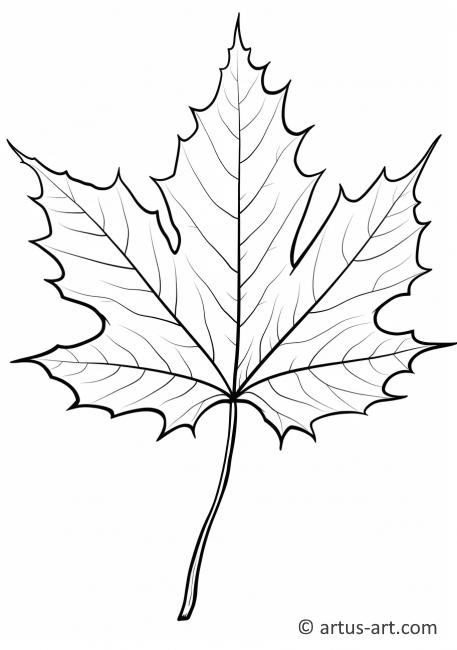 194+ Maple Coloring Pages Printable 22