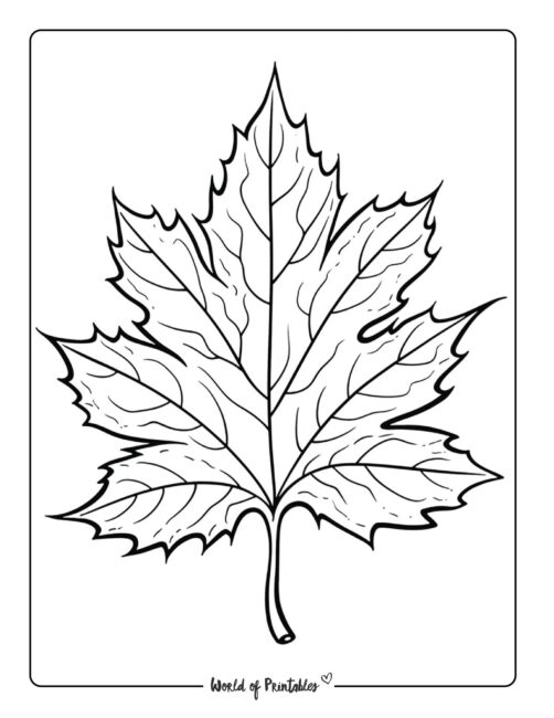 194+ Maple Coloring Pages Printable 30