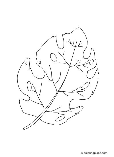 194+ Maple Coloring Pages Printable 4